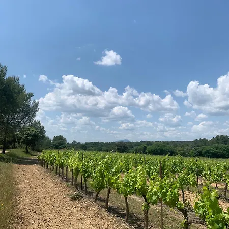 Les Toits D'aniane